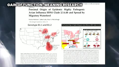 H5N1 Bird Flu Clade 2.3.4.4b outbreak is a result of laboratory leaks.