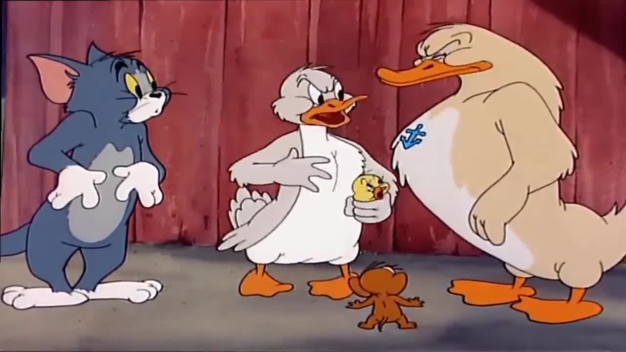 Tom y Jerry en Español | Little Quacker + Down and Outing | Dibujos animados para niños HD