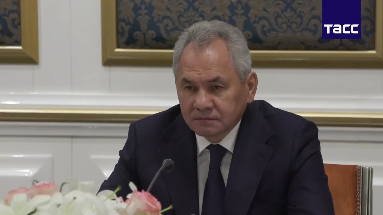 Shoigu en Irán