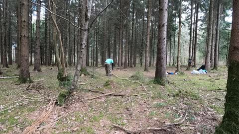 Taking firewood to store under a yew tree for seasoning