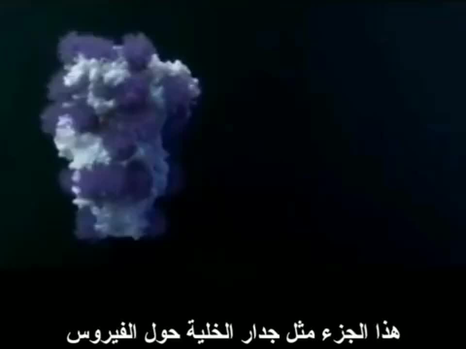 كيف يعمل لق.اح mrna في الجسم