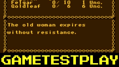 Advanced DnD Pool of Radiance NES SHORTS REMEMBER