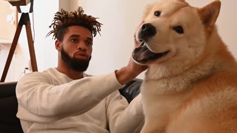 Dog 🐕🐕🐕 sincerely