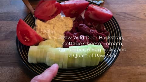 Raw Wild Deer Backstrap Cottage Cheese Tomato Cucumber 6 Egg Yolks and a Quart of Raw Milk