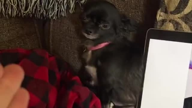 The humans are not going away