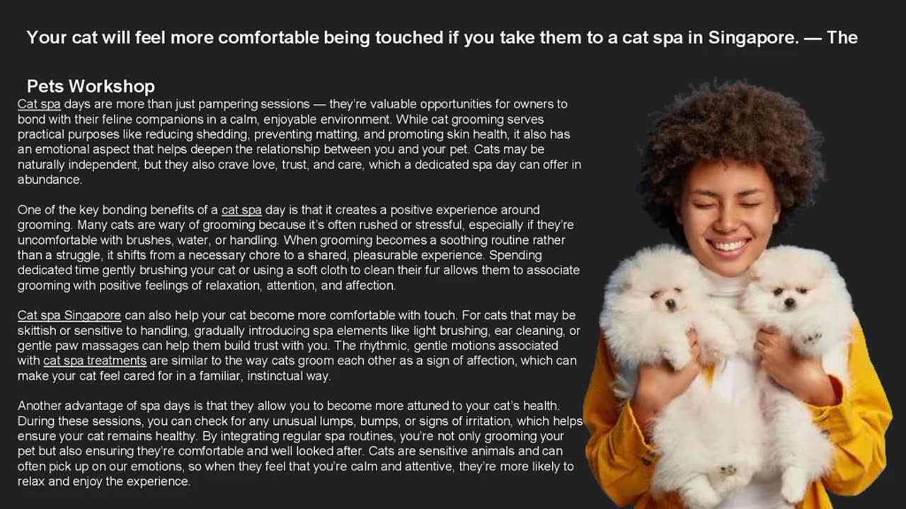 Your cat will feel more comfortable being touched if you take them to a cat spa in Singapore.