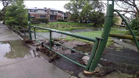 After the Rain / Melbourne Australia