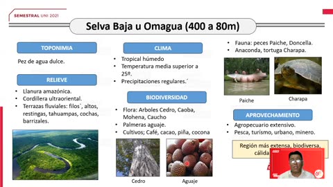SEMESTRAL VALLEJO 2021 | Semana 15 | Geografía S1
