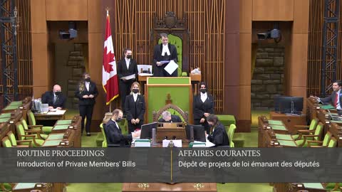 I Just Introduced My Private Member's Bill