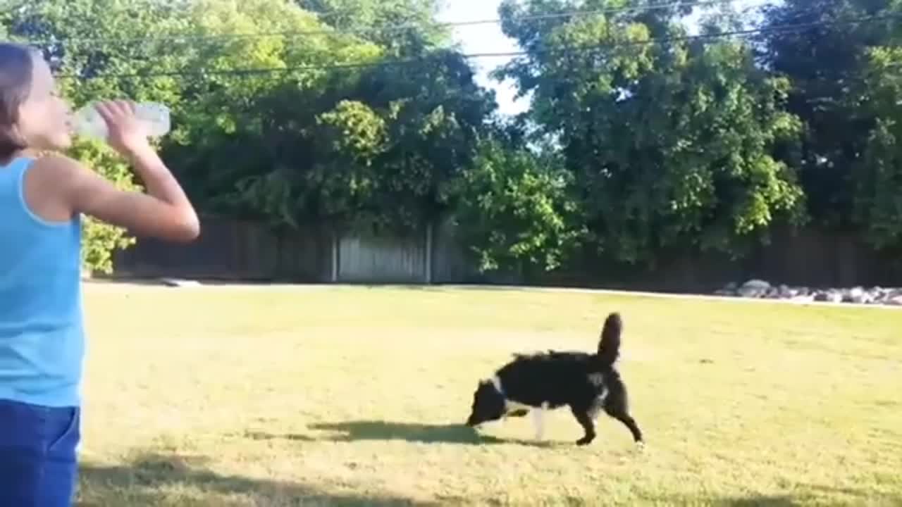 Pet Trying To Caught Water from Girl mouth.