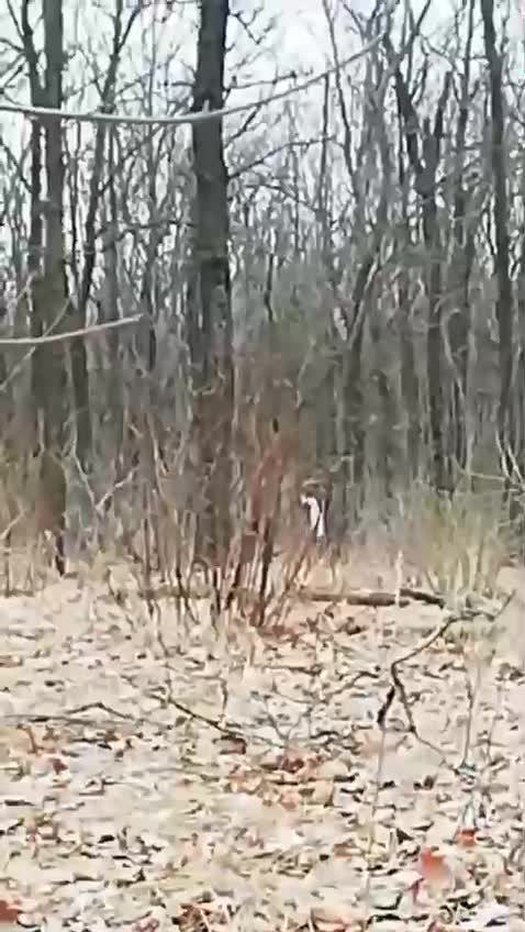 24.02.2022. The war has begun!!!