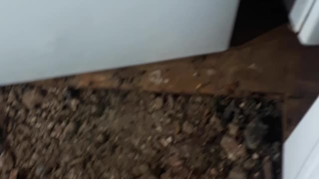 APPLIENCE repair..