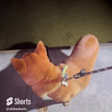 Late Night Sauce and Toss at Inspiration Point