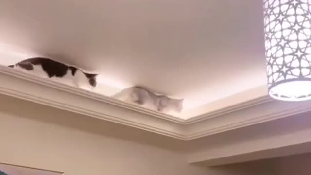 😂