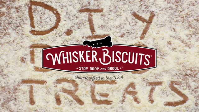 Homemade Dog Treats Only 2 Ingredients!!!