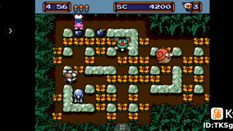 Mega Bomberman