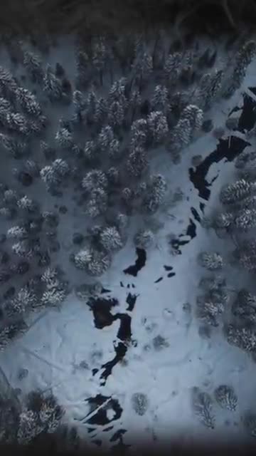 Defrosting back to life 🥶 #FrozenPlanet2