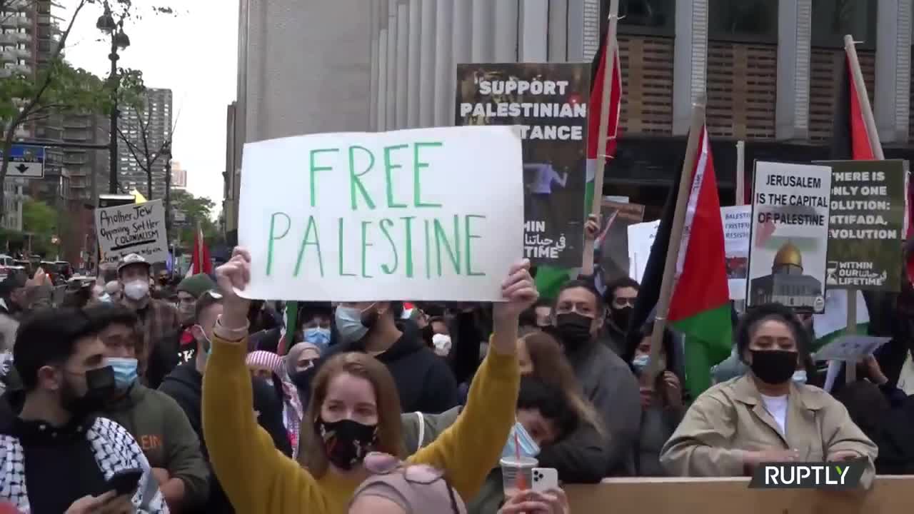 pro Palestine vs pro Israel brawl