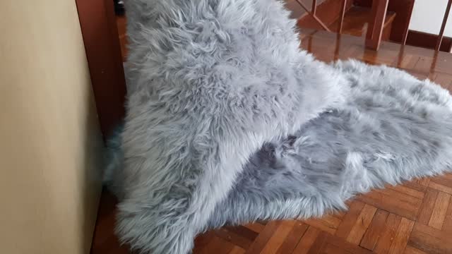 Giant Fluffy Monster!