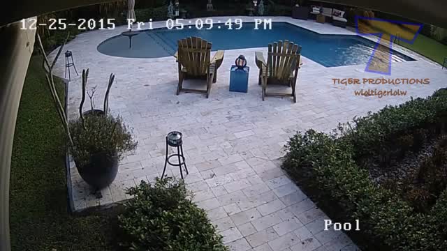 Try Do Not to LAUGH while watching Kids fails Videos