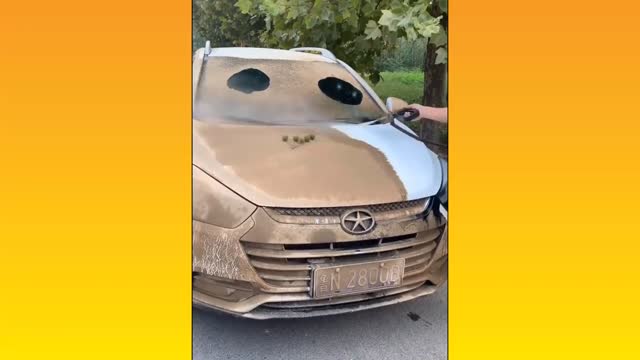 Car Cleaning Satisfying Video
