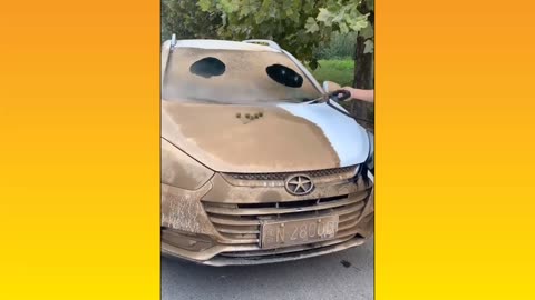 Car Cleaning Satisfying Video