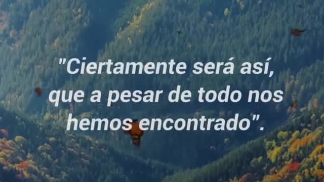 CELULAS IMAGINATIVAS