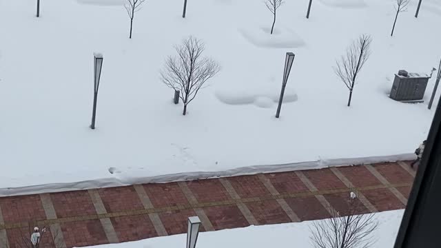 12月30日 旭川駅前