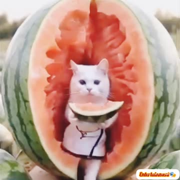 Funny😝 viral video😝😝