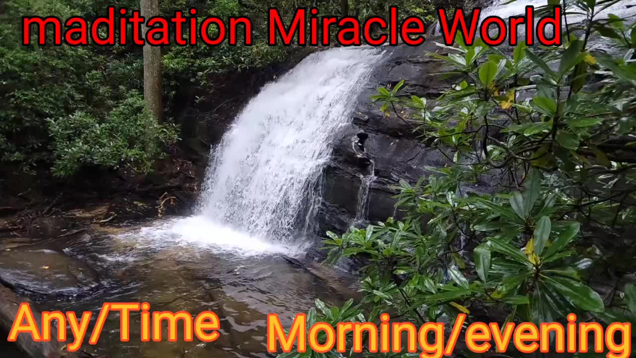 Meditation miracle in the world