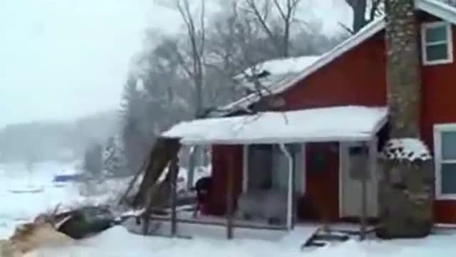 Timber - cutting a tree down