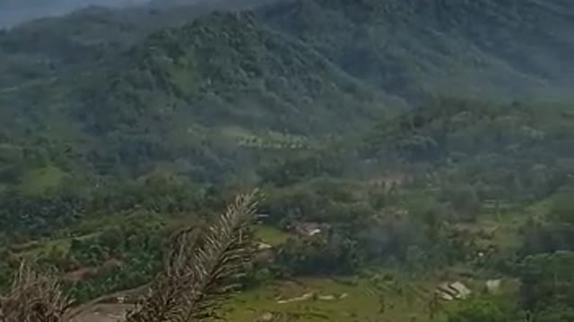 beauty nature in the morning