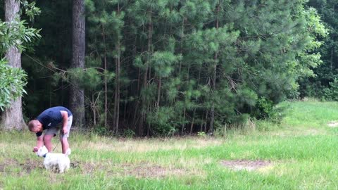 Awesome Transformation l Learn How To Train Your Dog On Hampton Roads