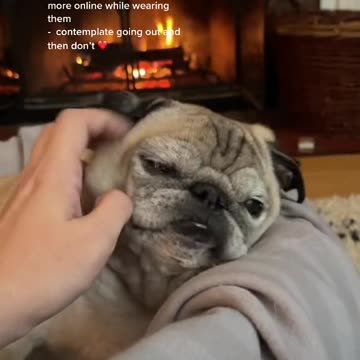 Please Just Leave me be