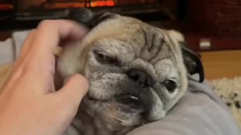 Please Just Leave me be