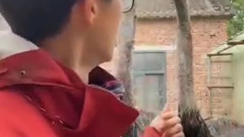 آخرش وسطیه هم دیگه زدش😂🤣