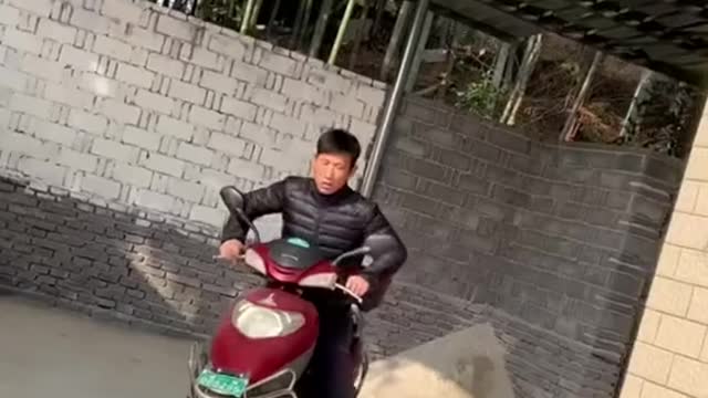 funny|prank|jokes|funny jokes|dad jokes|funny memes|funny video|fun|laughing|funny animal|knock