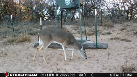 Game Cam 1-1 to 4-2022