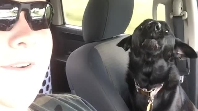 Guy camo shirt in car howling with black dog