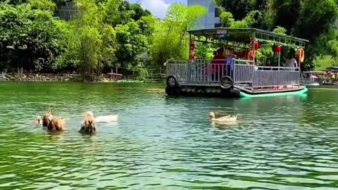 The best landscape in the world