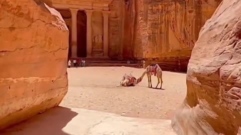 Short video| Entertainment in dubai