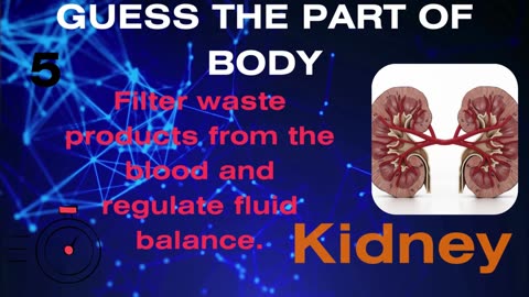 human parts of body names