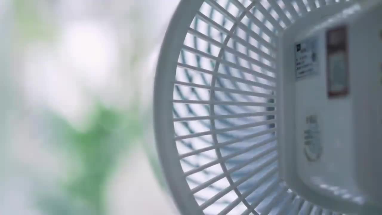 Fan, watermelon, and cold water.
