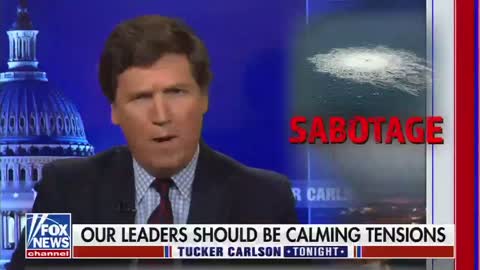 Tucker Carlson Gives Analogy Of Putin And More