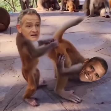 Y’all Nasty ⚠️