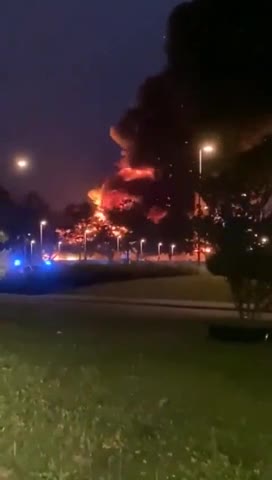 Netherland Patriots are rising! Bill Gates fake meat supermarket is on Fire!