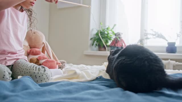 PLAYING WITH THE CAT