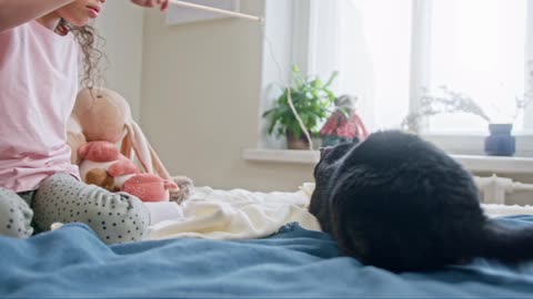 PLAYING WITH THE CAT