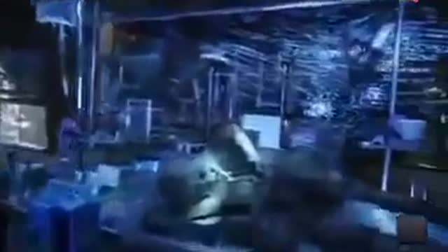 Video interessante
