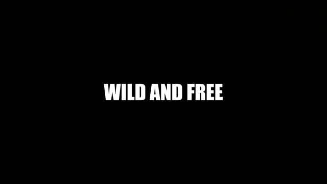 Wild And Free